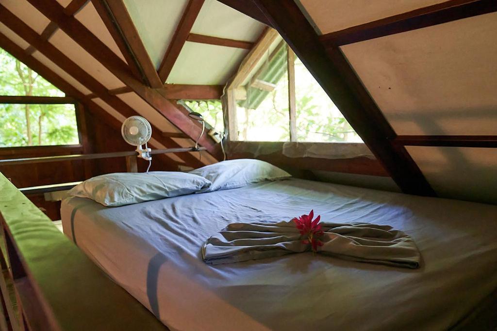 Luz En El Cielo Eco-B&B/Hostel Montezuma Dış mekan fotoğraf