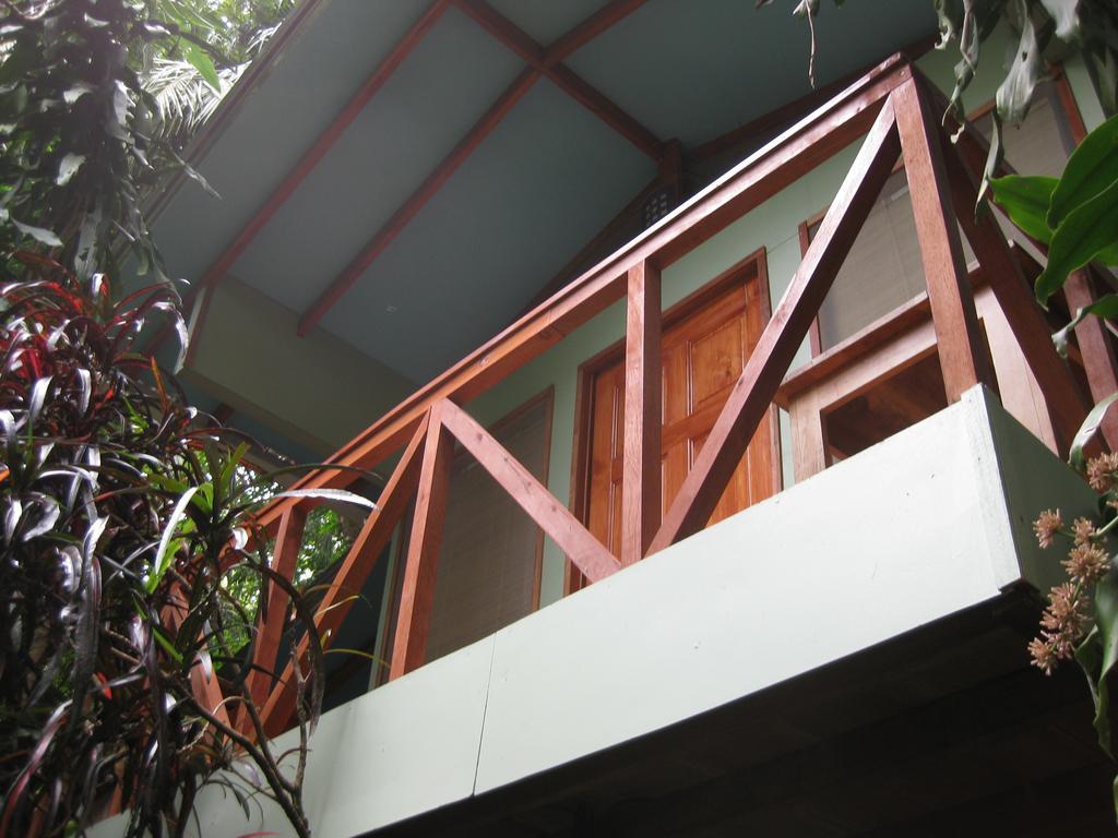 Luz En El Cielo Eco-B&B/Hostel Montezuma Oda fotoğraf